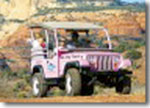 Pink Jeep Tour