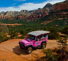 Pink Jeep Tour